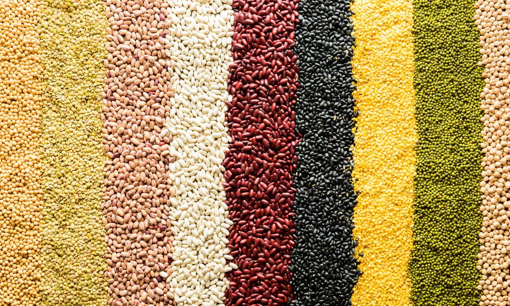 Top 10 Types of Millets to add to your Routine Diet
