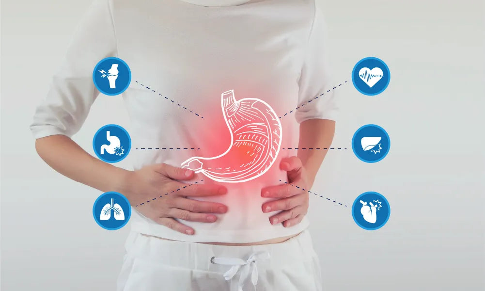 Beyond Calories: Exploring the Holistic Impact of a Healthy Metabolism