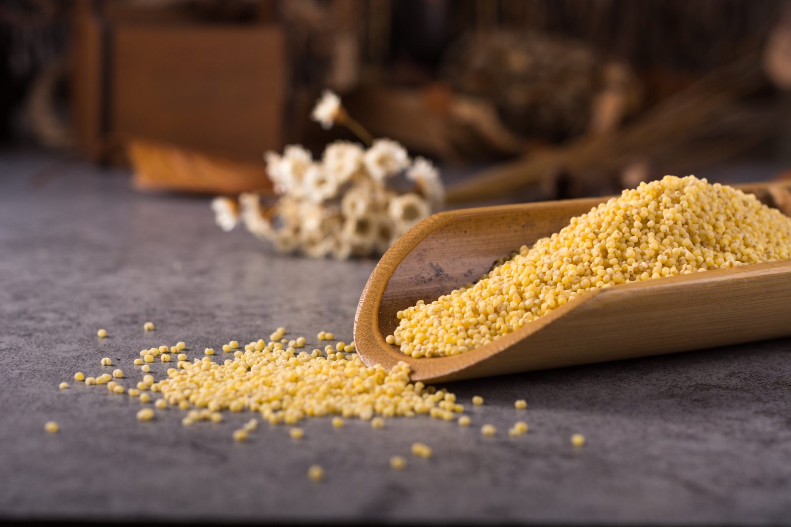 The Humble Millets: India Resurrects The Golden Miracle Grain.