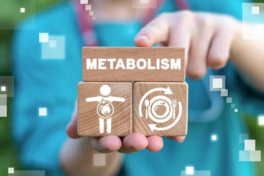 Metabolic Health 101