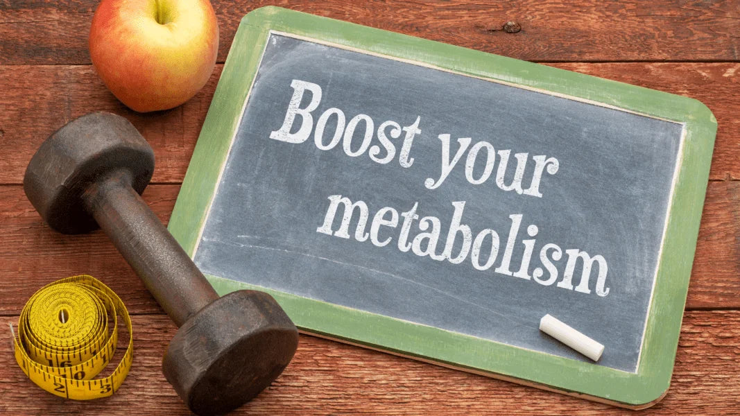 Metabolism: The Body’s Energy Mechanism